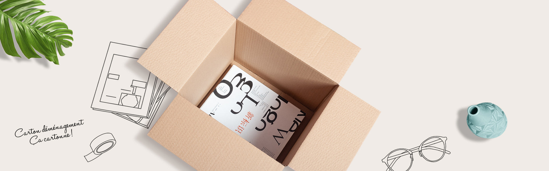 Carton de demenagement
