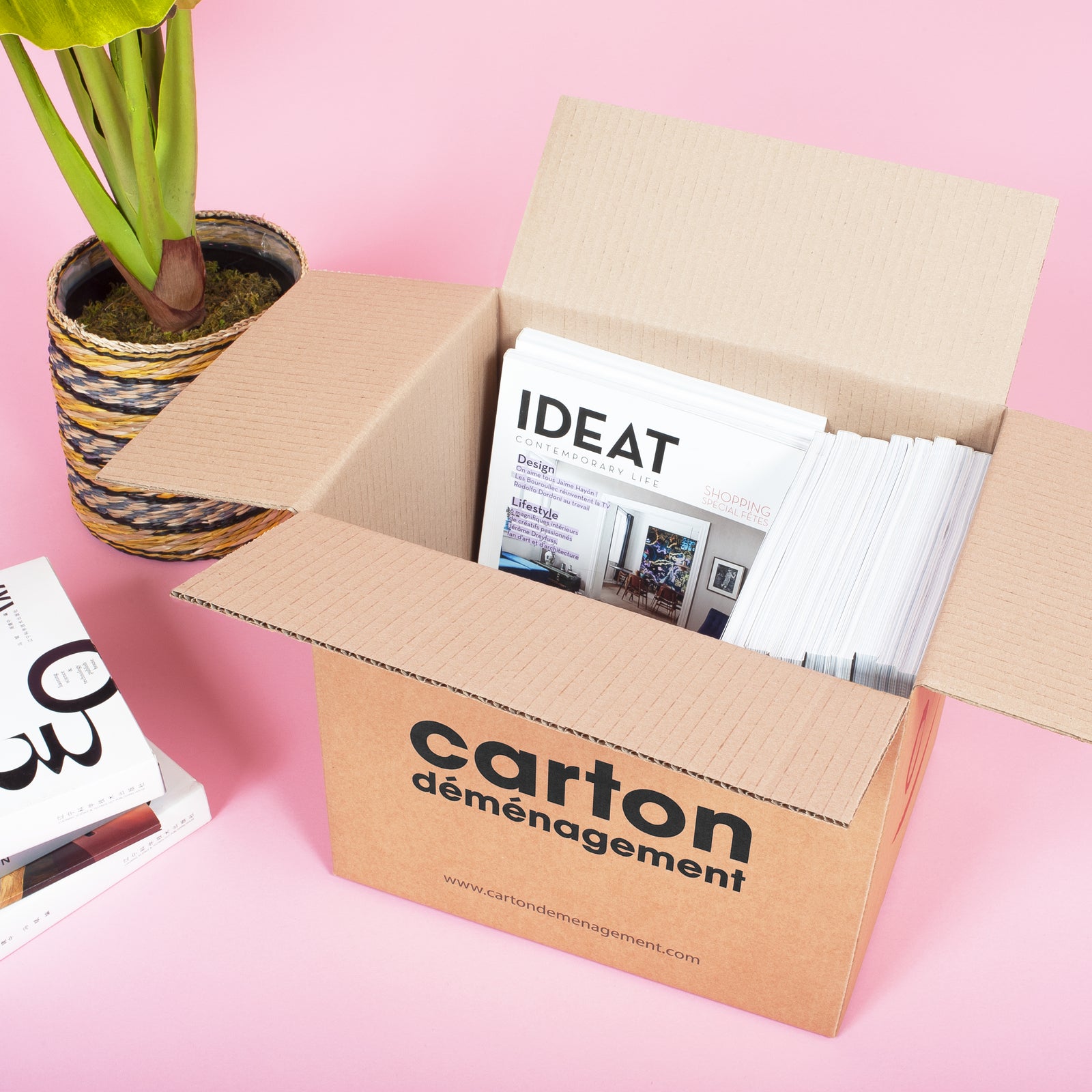 Choisir la Taille Idéale : Guide des Différents Formats de Cartons pou