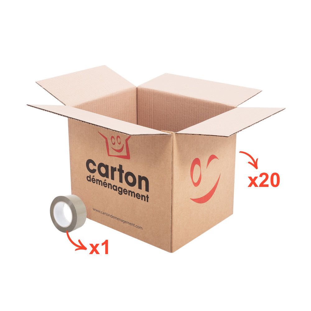 Pack 20 cartons livres + 1 adhésif gratuit